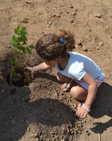 WhatsApp Image 2025-09-22 at 08.19.45 (2)