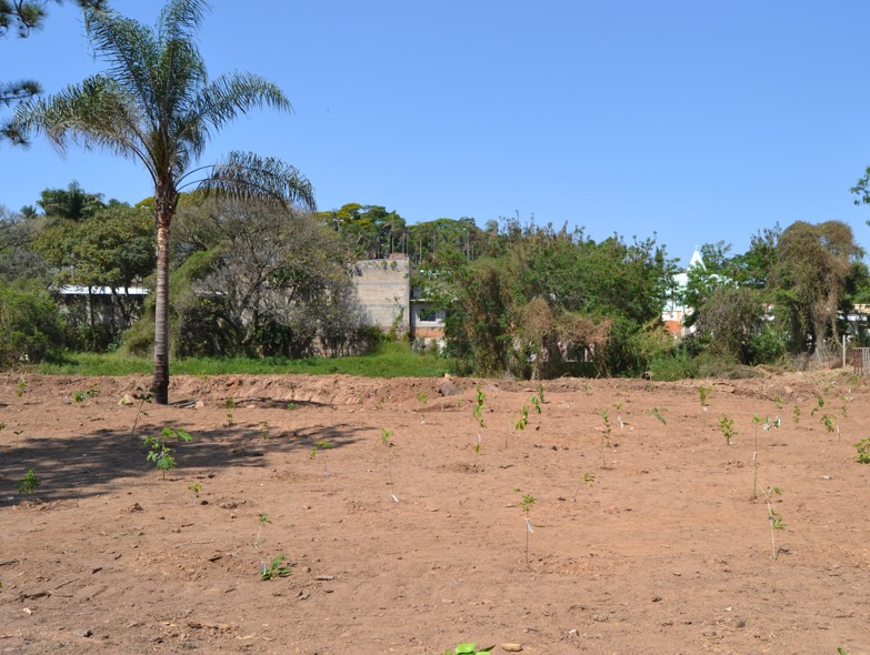 WhatsApp Image 2025-09-22 at 08.19.48 (3)