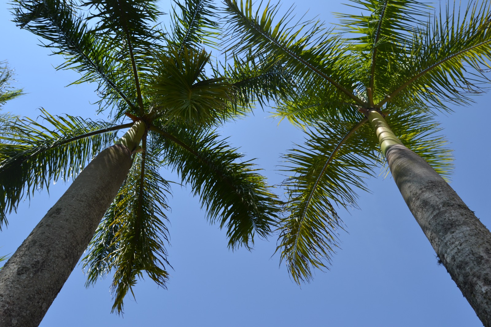 WhatsApp Image 2025-09-22 at 08.19.49 (1)